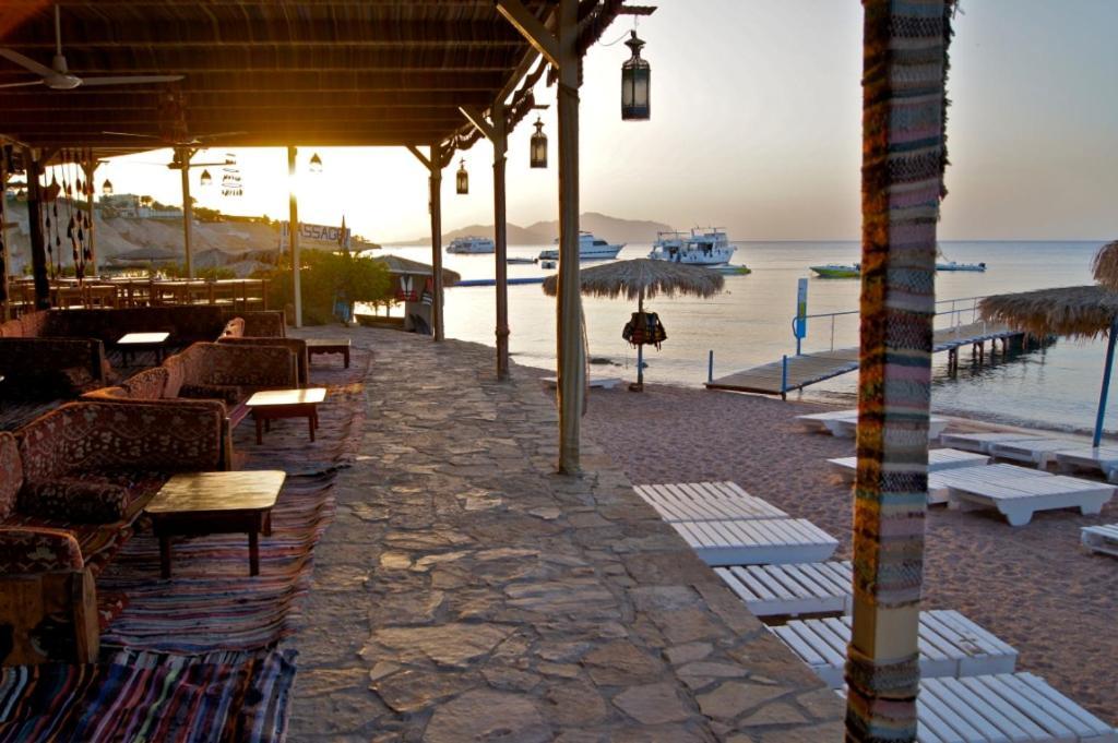 Umbi Sharks Bay Diving Village Sharm el-Sheikh Exterior foto