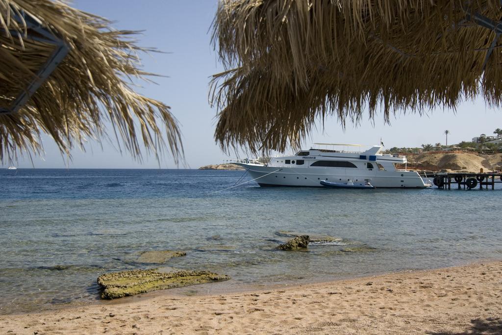 Umbi Sharks Bay Diving Village Sharm el-Sheikh Exterior foto