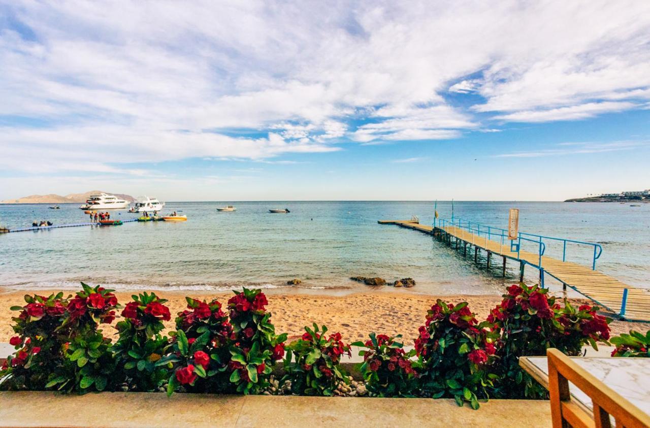 Umbi Sharks Bay Diving Village Sharm el-Sheikh Exterior foto